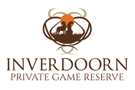 Inverdoorn Logo Cupcakes